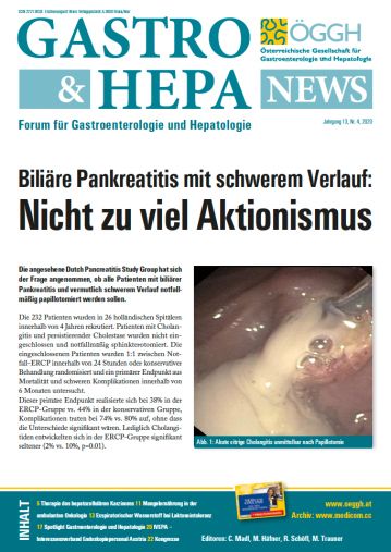  Ausgabe 4/20