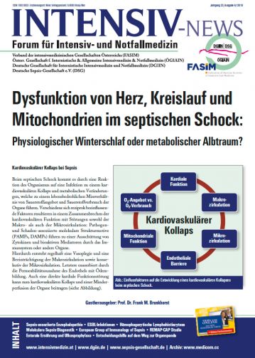  Ausgabe 4/19