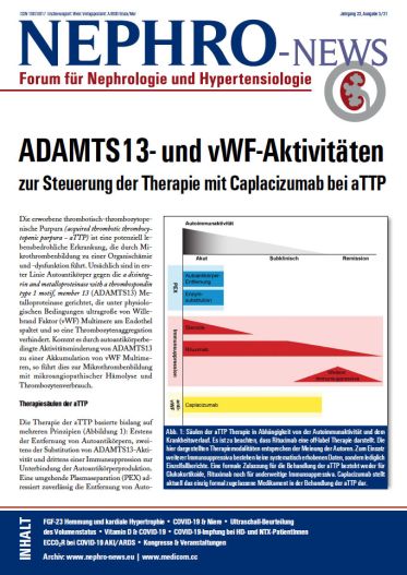  Ausgabe 3/21