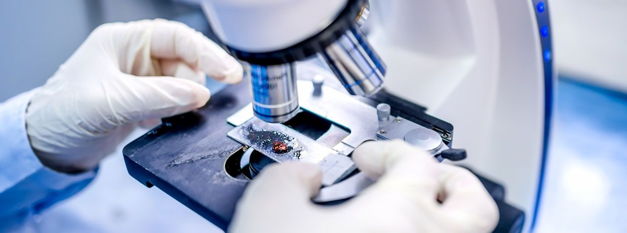 Umfassend informiert und aufbereitet